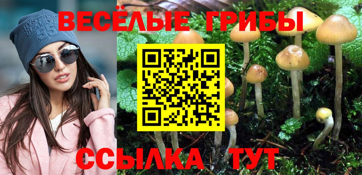 Галлюциногенные грибы ЛСД Тимашёвск