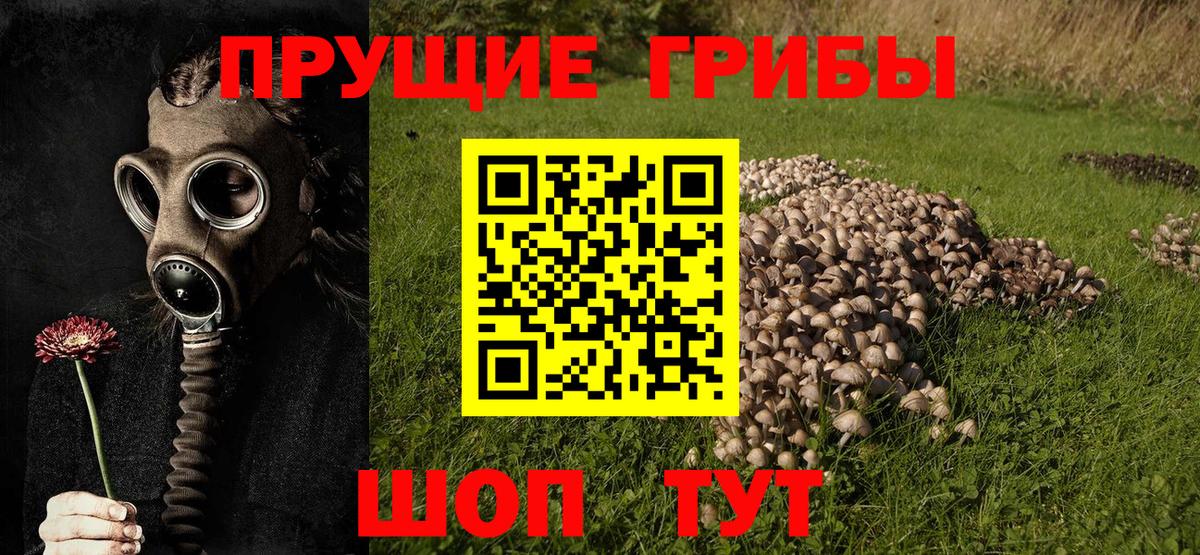 Галлюциногенные грибы Cubensis  Псилоцибиновые грибы MAGIC MUSHROOMS  Вход с VPN  где продают наркотики  Тимашёвск 